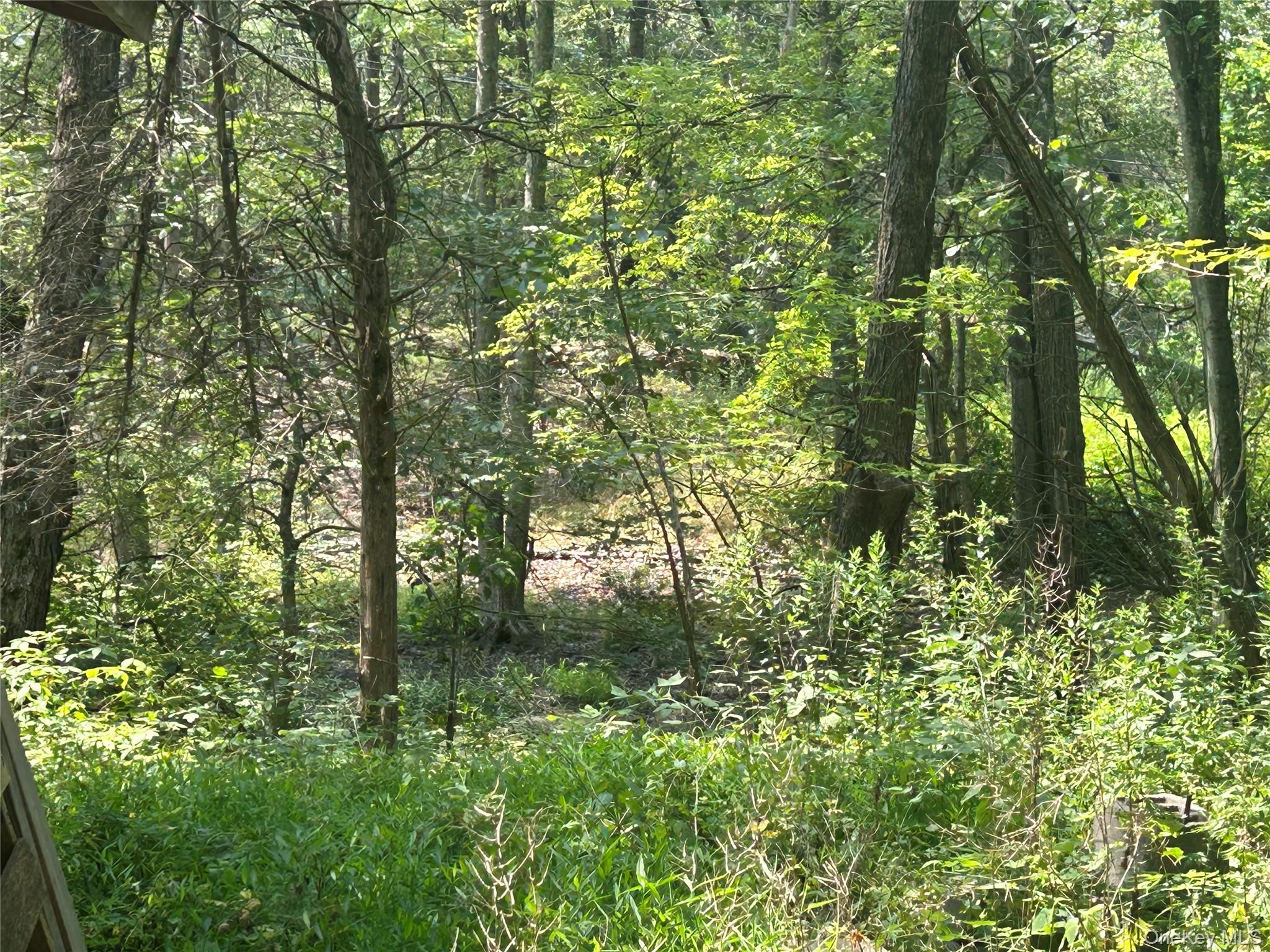 White Schoolhouse Road Rhinebeck, NY 12572 - Photo 10 of 13 a backyard of a house with lots of green space