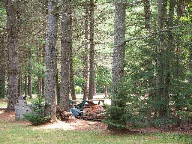 499 Shore Road Dexter, ME 04930 - Photo 32 of 35 Yard/Garden.