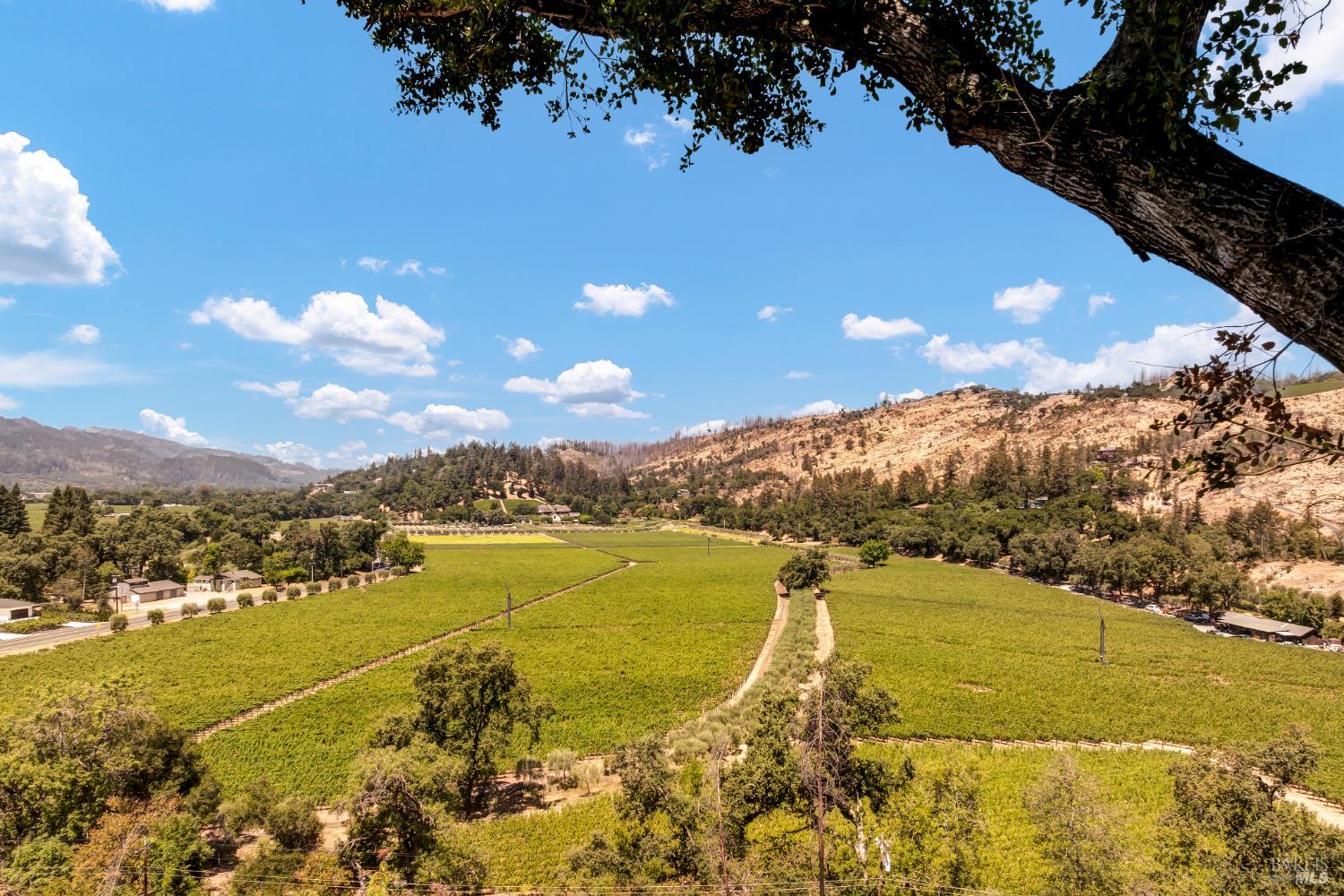 1700 Howell Mountain Road St Helena, CA 94574 - Photo 2 of 46 a view of an ocean and a mountain