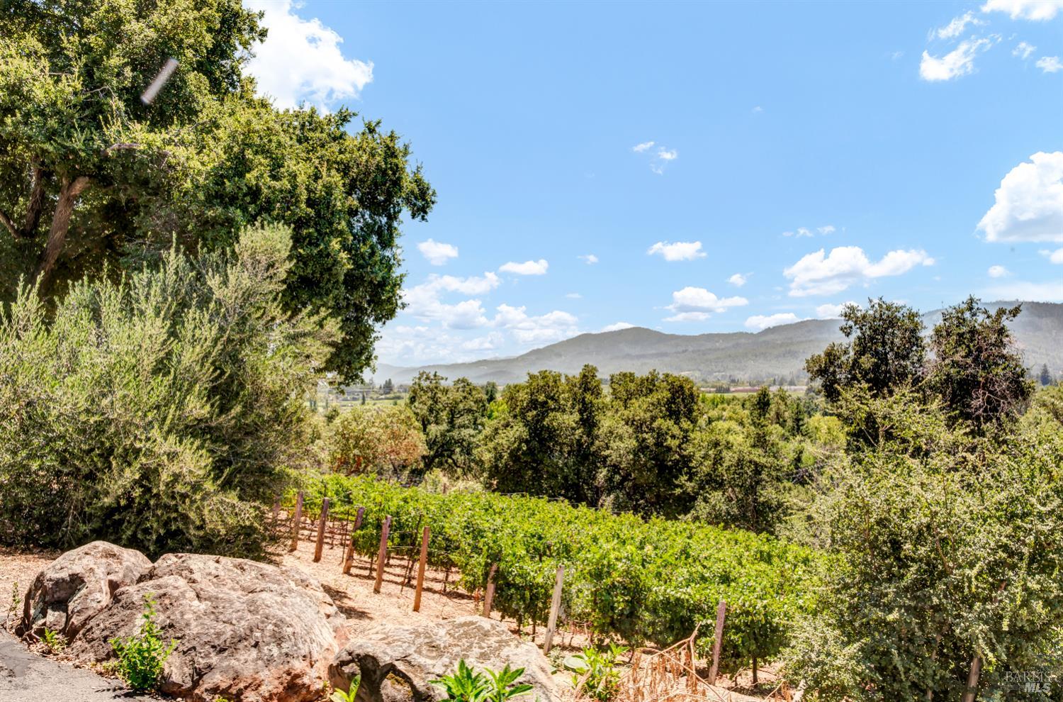 1700 Howell Mountain Road Angwin, CA 94508 - Photo 41 of 45 Own your own vineyard