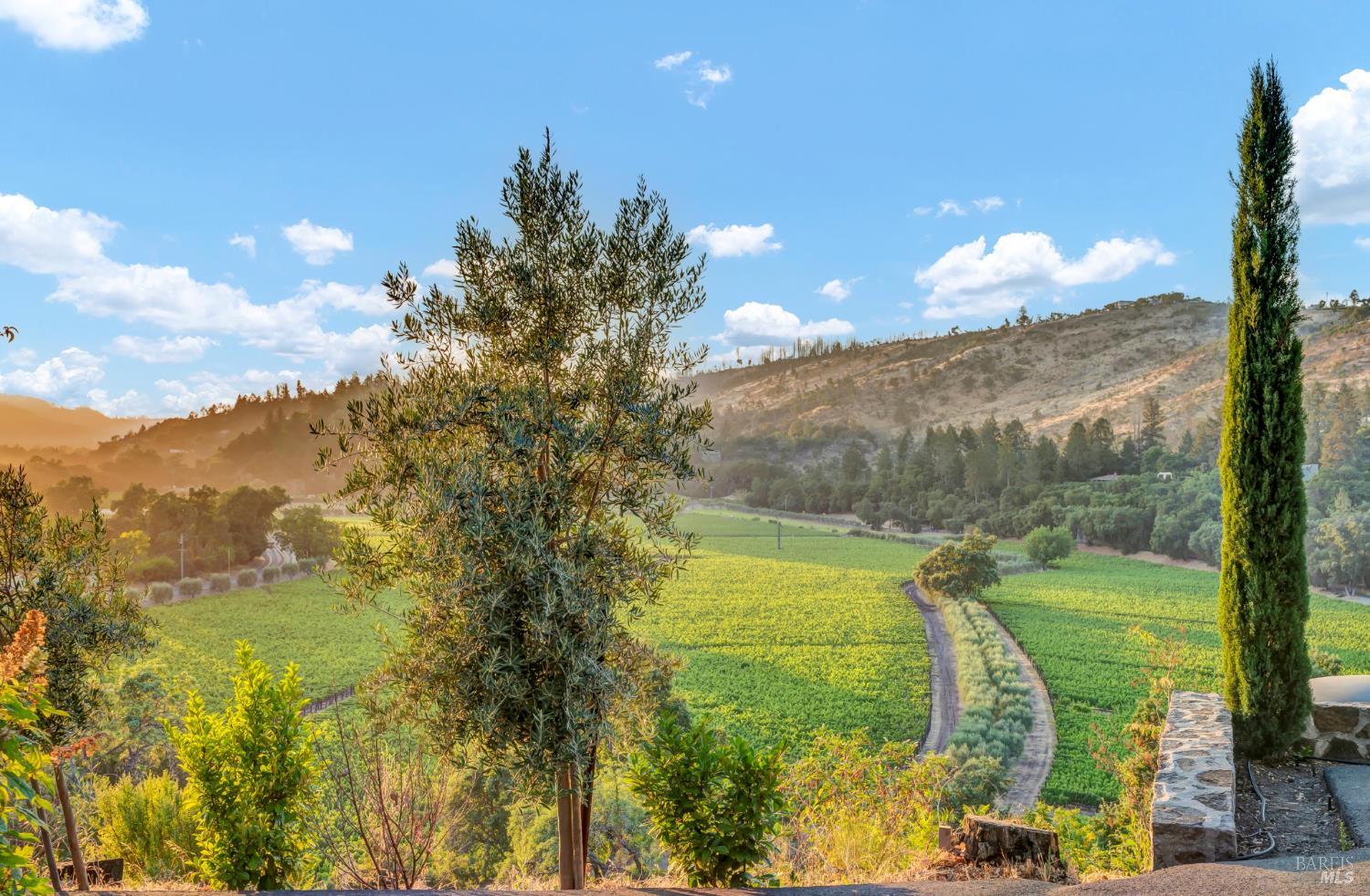 1700 Howell Mountain Road St Helena, CA 94574 - Photo 6 of 46 a view of a city