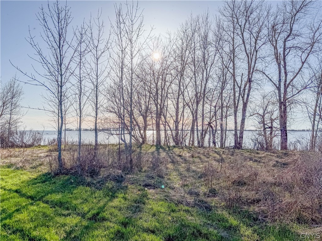 22 Fire Road Three Mile Bay, NY 13693 - Photo 4 of 40