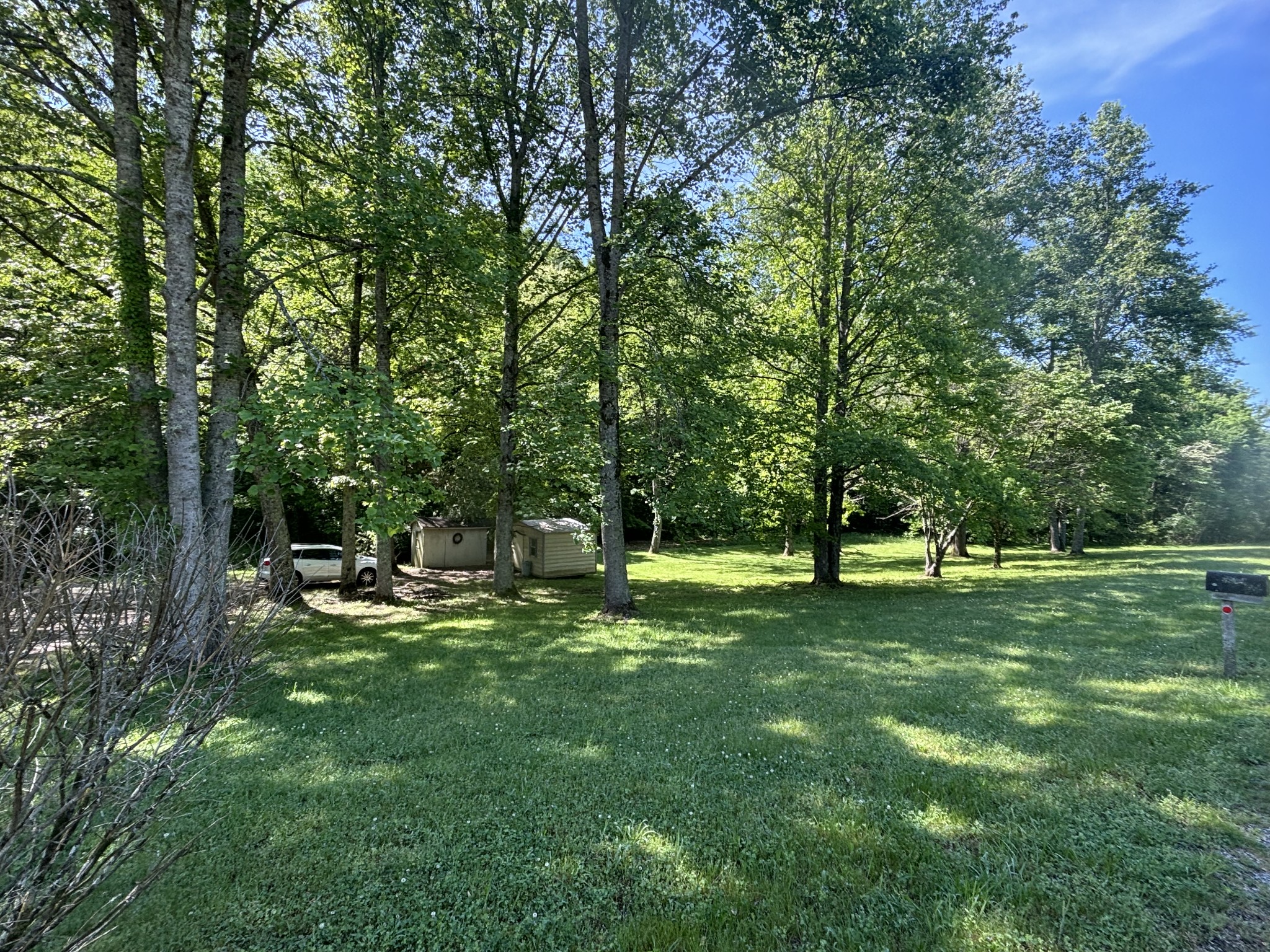 3329 Tackets Branch Road Prospect, TN 38477 - Photo 10 of 24 a view of a park with a tree