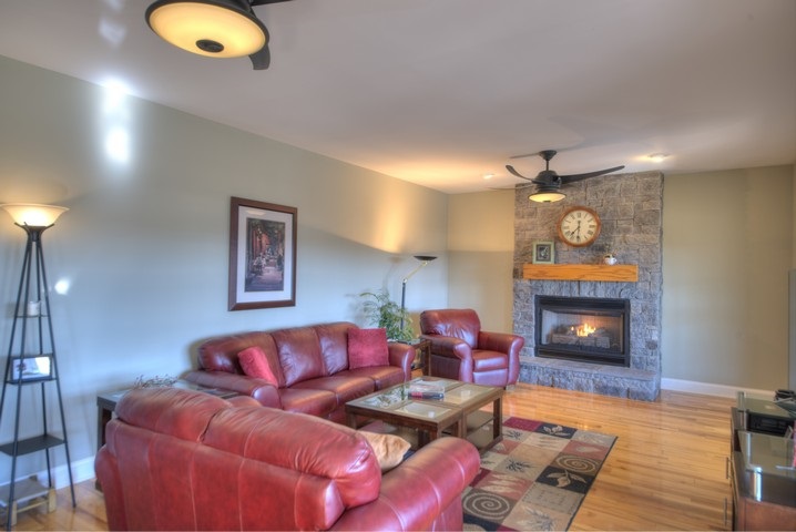 53 Old White Bridge Road Waynesboro, VA 22980 - Photo 17 of 49 a living room with furniture and a fireplace