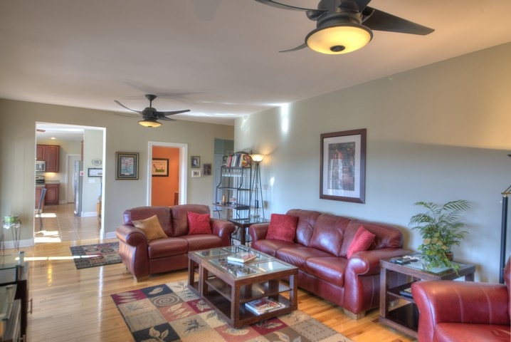 53 Old White Bridge Road Waynesboro, VA 22980 - Photo 18 of 49 a living room with furniture a couch and potted plant