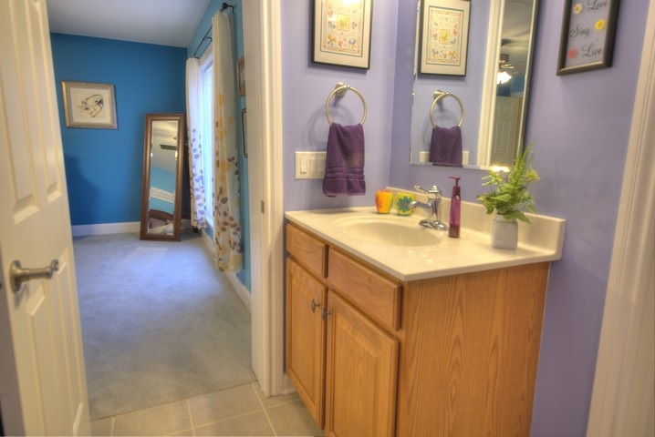 53 Old White Bridge Road Waynesboro, VA 22980 - Photo 36 of 49 a bathroom with a sink and a mirror