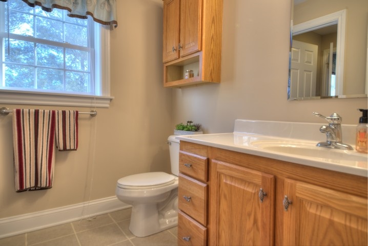 53 Old White Bridge Road Waynesboro, VA 22980 - Photo 39 of 49 a bathroom with a sink a toilet and a mirror