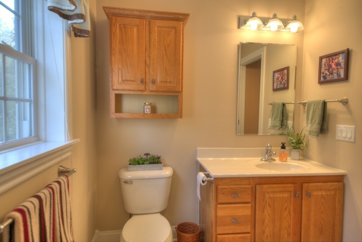53 Old White Bridge Road Waynesboro, VA 22980 - Photo 40 of 49 a bathroom with a sink a toilet a mirror and shower curtain