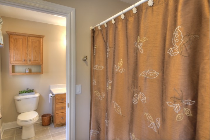 53 Old White Bridge Road Waynesboro, VA 22980 - Photo 41 of 49 a bathroom with a toilet and a shower curtain