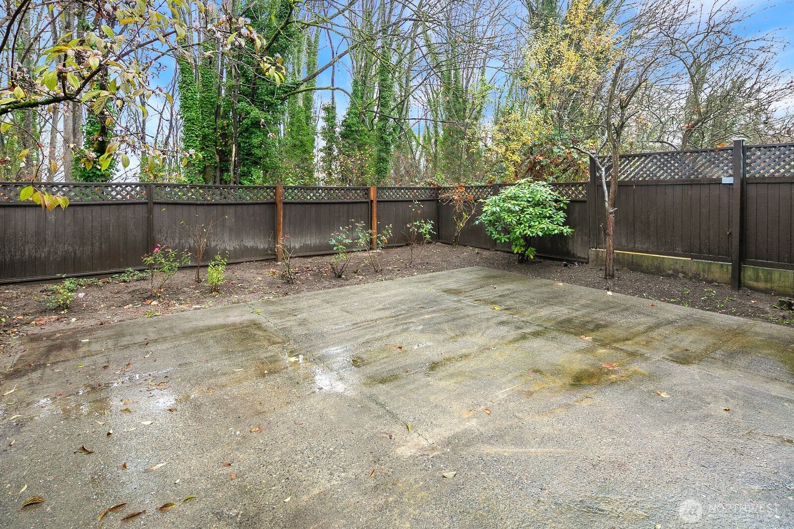 2367 South Forest Street Seattle, WA 98144 - Photo 25 of 33 a backyard of a house with lots of green space and wooden fence