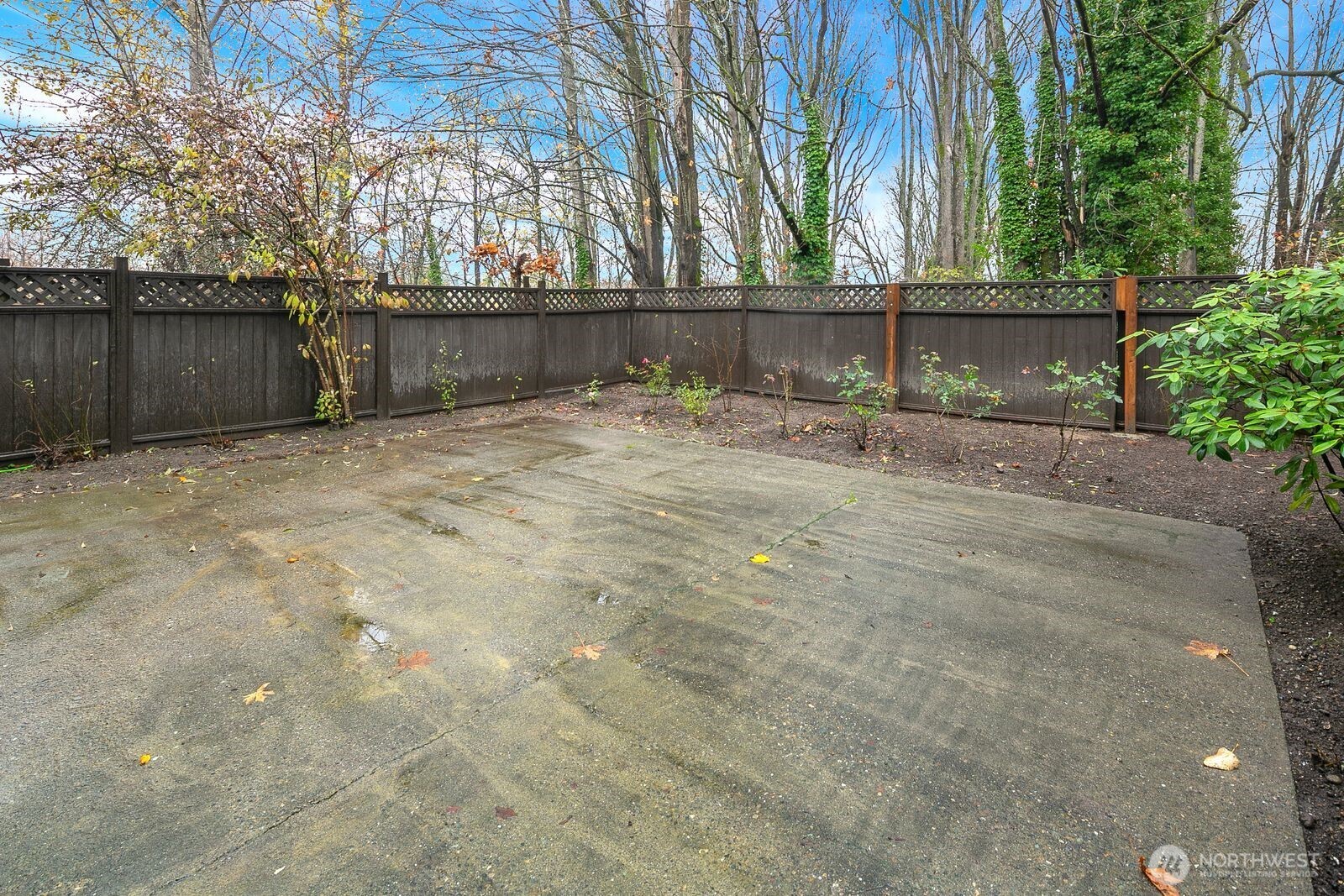 2367 South Forest Street Seattle, WA 98144 - Photo 26 of 33 a view of backyard and tree