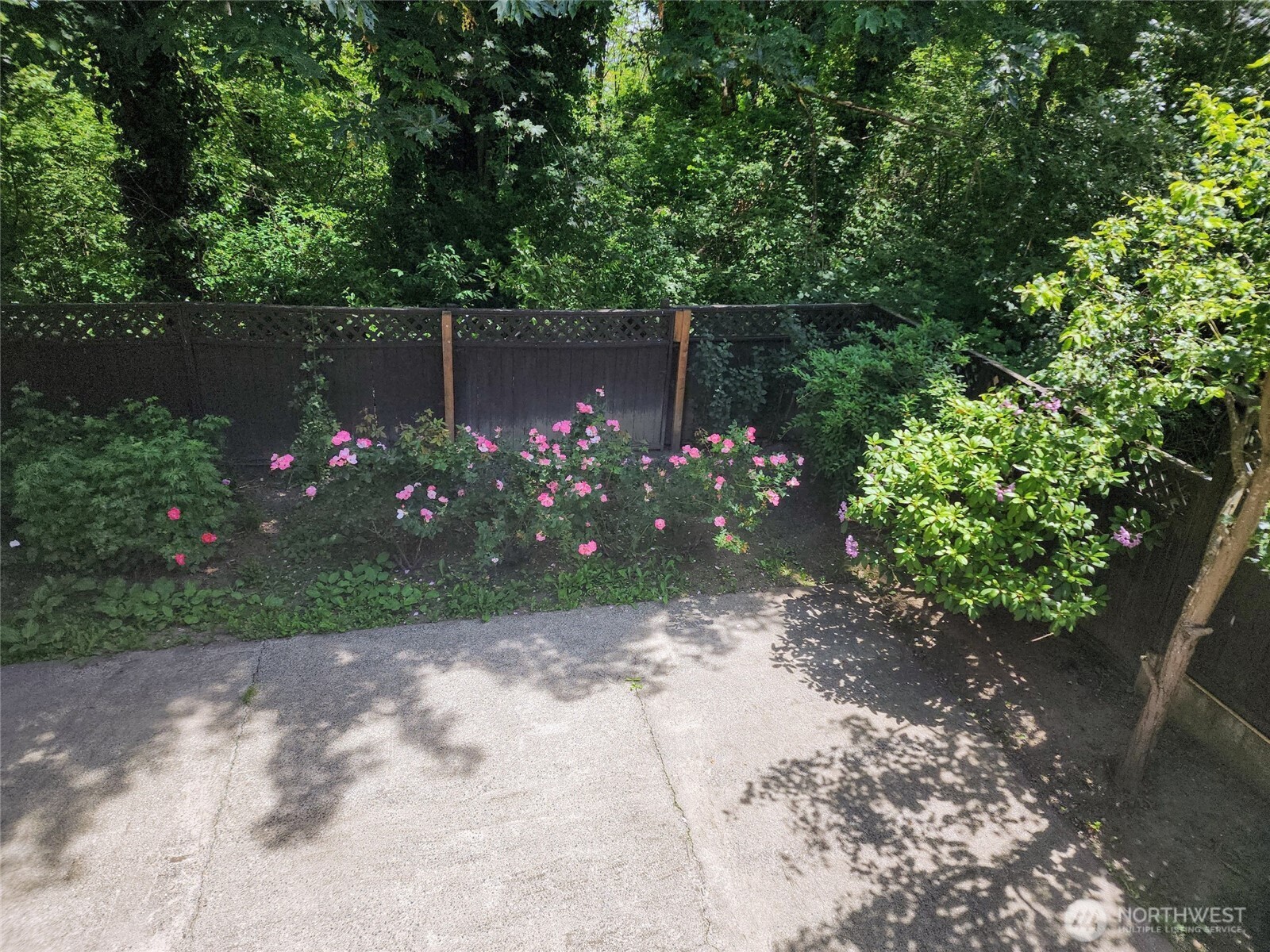 2367 South Forest Street Seattle, WA 98144 - Photo 32 of 33 a view of a garden with plants