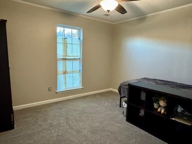 4977 Standifer Road Cohutta, GA 30710 - Photo 13 of 15 Standifer, D'Avignon, BR3