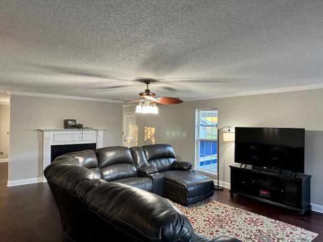 4977 Standifer Road Cohutta, GA 30710 - Photo 3 of 15 Standifer, D'Avignon, LivRm2