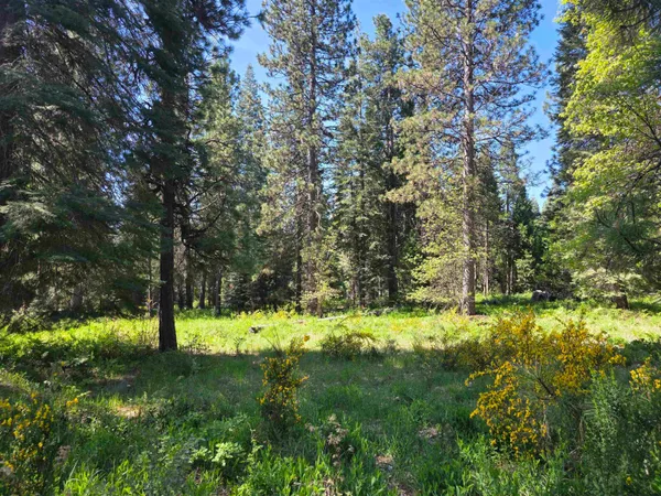 $69,400 | Lot 76 Panther Meadow, McCloud, CA 96057