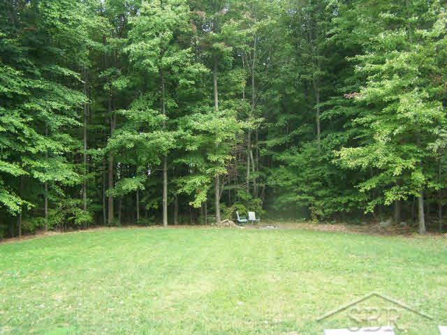 16526 O'Hara Road Hemlock, MI 48626 - Photo 2 of 8 20211462-2.JPG