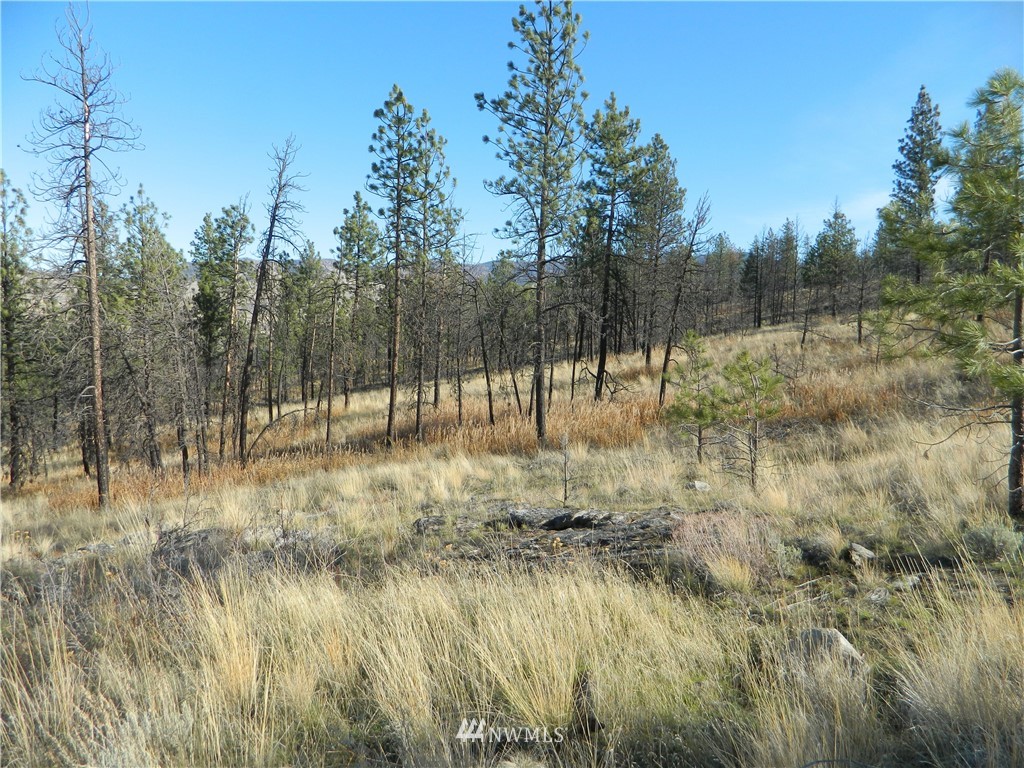 49 Bronco Lane Riverside, WA 98849 - Photo 15 of 18 Gallery Image 15