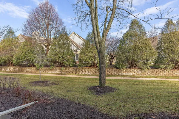 a view of a yard with a tree