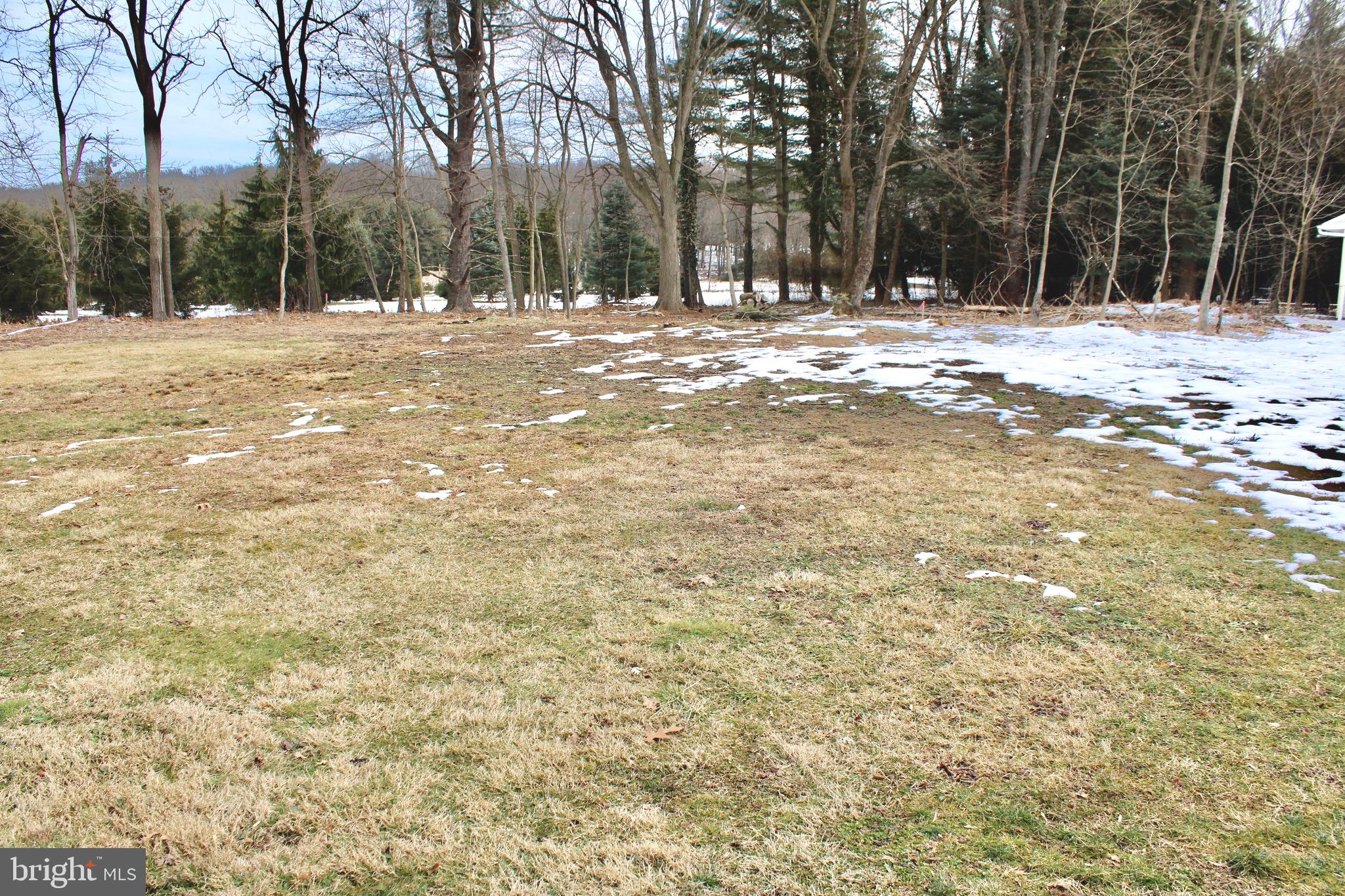 37 Cherry Lane Doylestown, PA 18901 - Photo 13 of 75 a view of a yard with trees