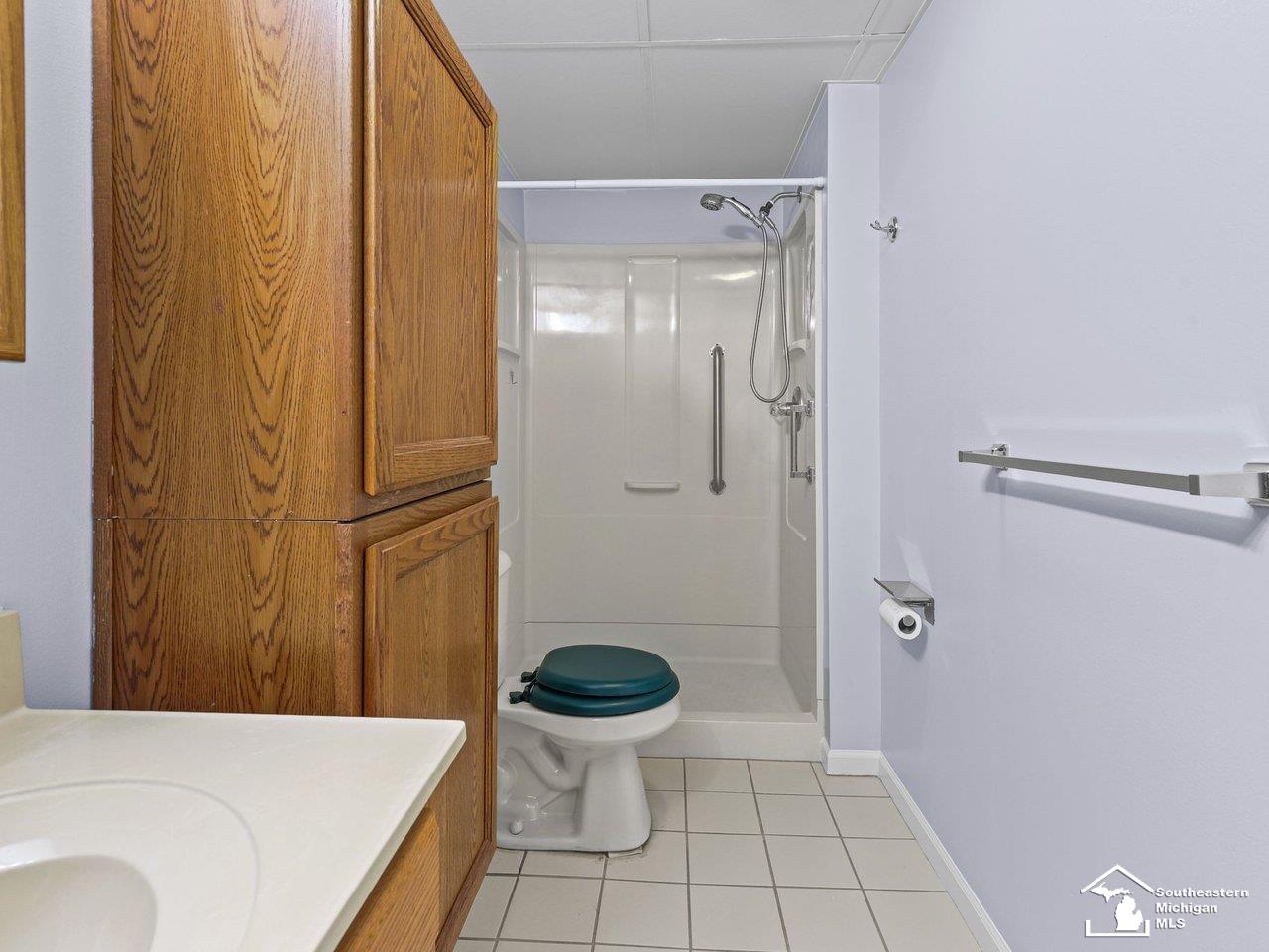 729 Clark Street Tecumseh, MI 49286 - Photo 34 of 54 50210391-870667af-ca88-4e43-a681-4a37e025e9b6.JPG