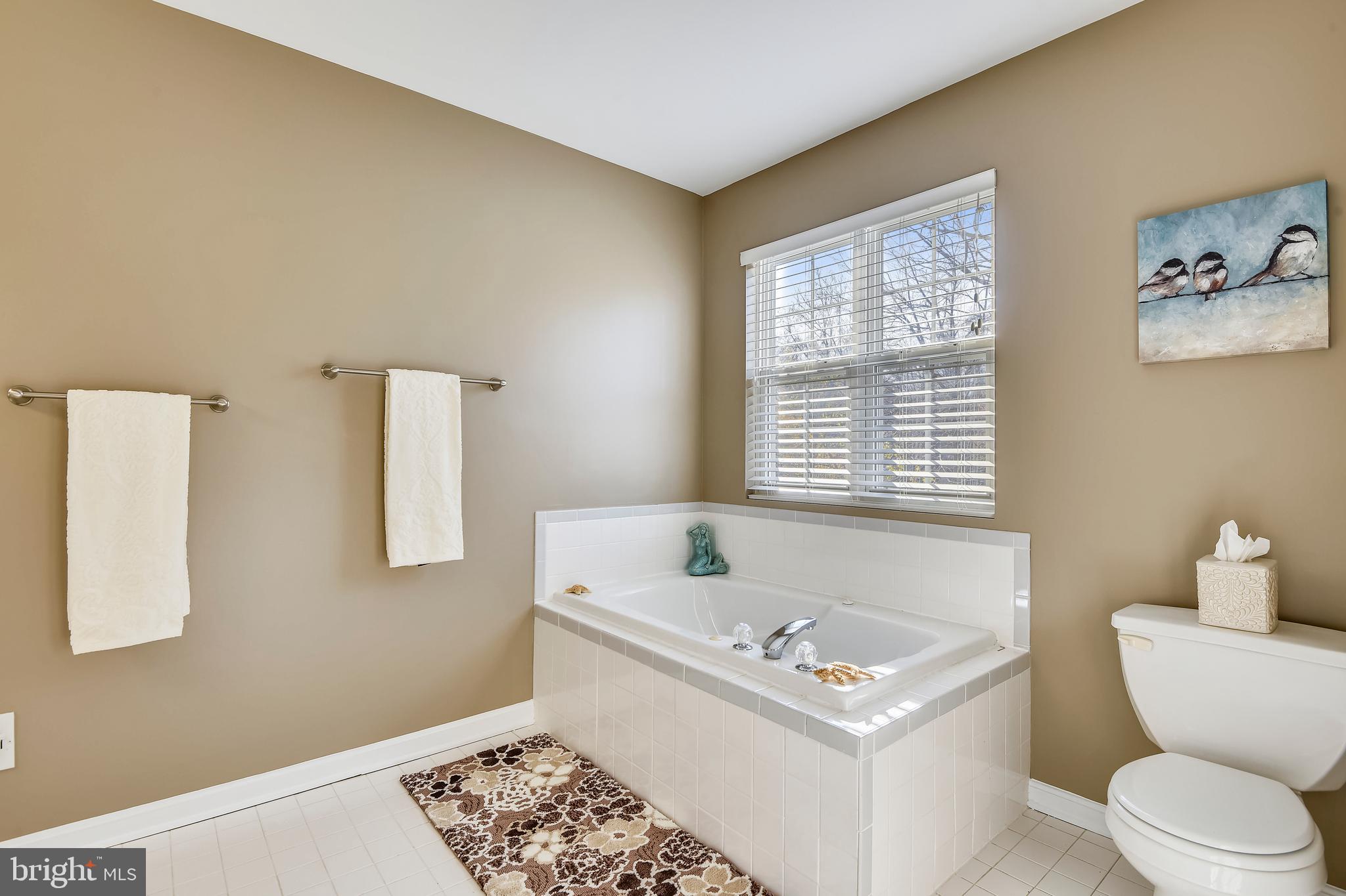 3946 Cove Road Edgewater, MD 21037 - Photo 37 of 52 JETTED TUB IN MASTER BATH