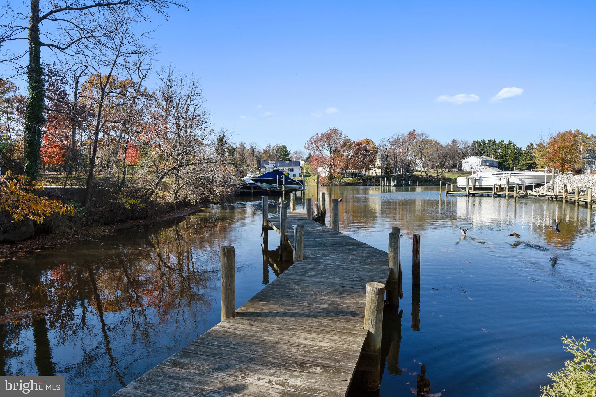 3946 Cove Road Edgewater, MD 21037 - Photo 51 of 52 COMMUNITY PIER