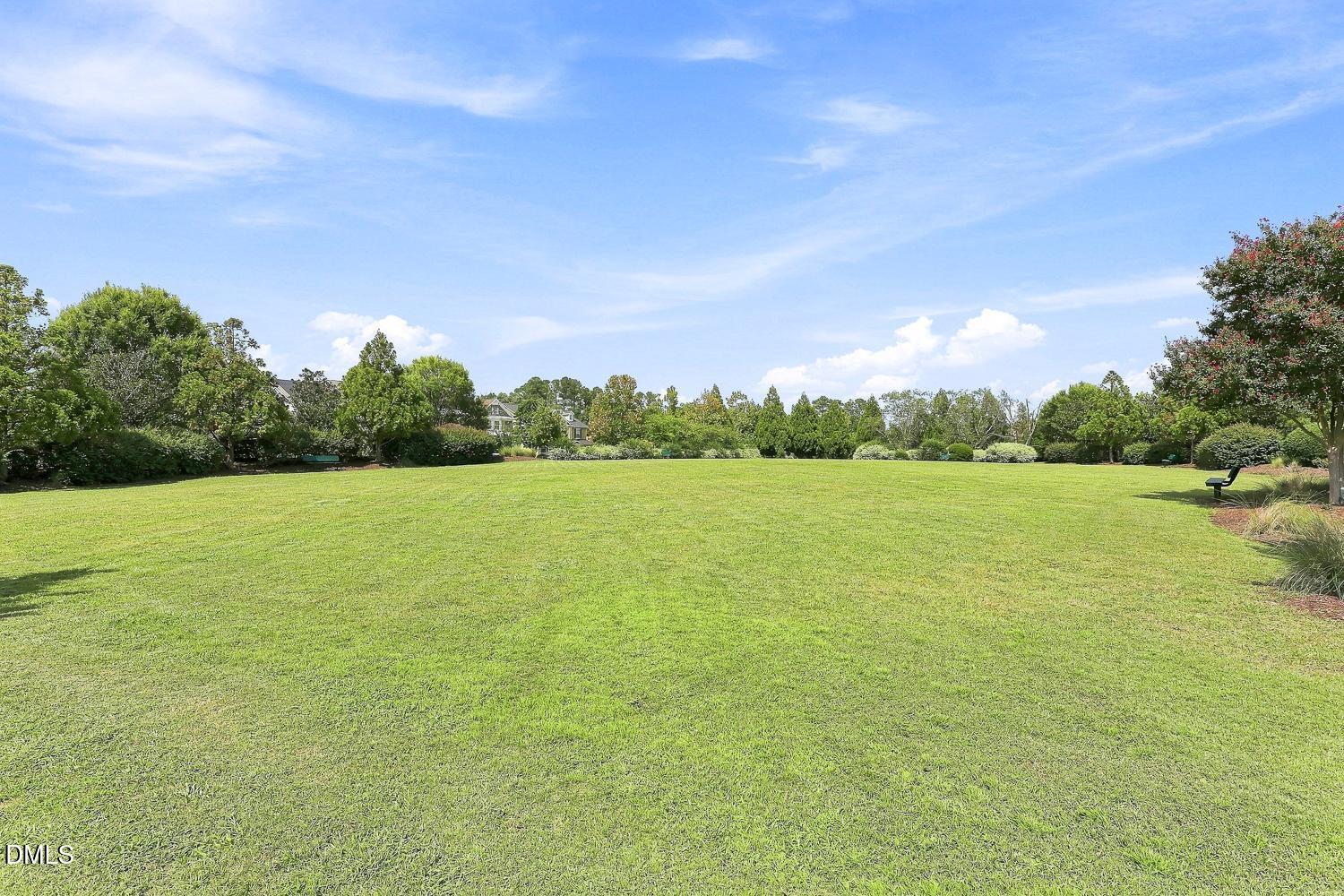 554 Front Ridge Drive Cary, NC 27519 - Photo 61 of 62 085-055-Community Green-1500x1000