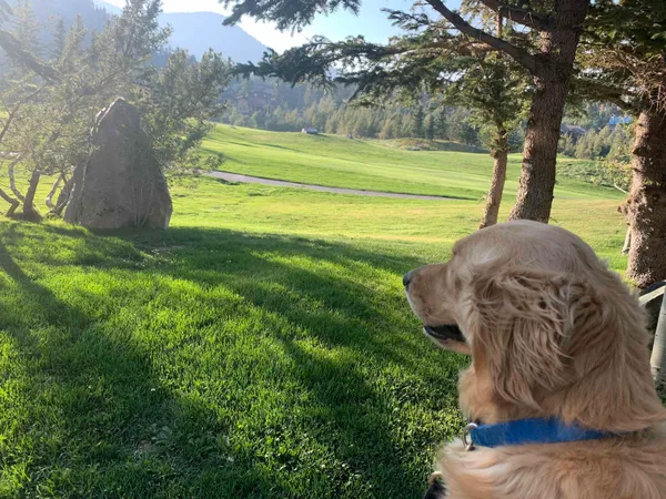 $1,790,000 | 745 Fairway Circle, Unit 745, Mammoth Lakes, CA 93546