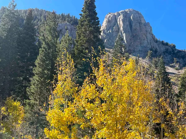 $1,790,000 | 745 Fairway Circle, Unit 745, Mammoth Lakes, CA 93546