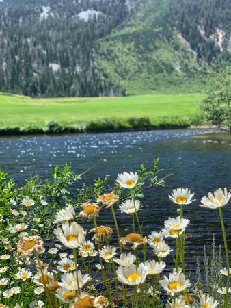 $1,790,000 | 745 Fairway Circle, Unit 745, Mammoth Lakes, CA 93546