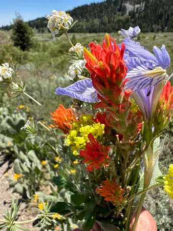 $1,790,000 | 745 Fairway Circle, Unit 745, Mammoth Lakes, CA 93546