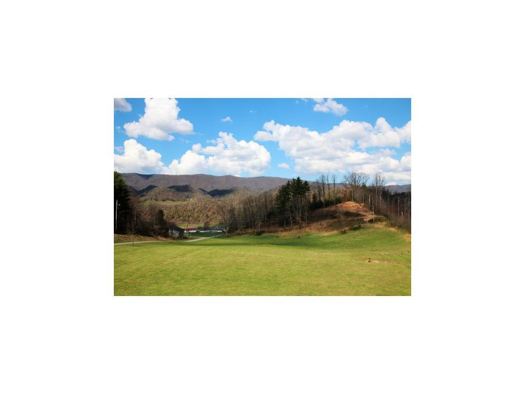 333 K And R Road Butler, TN 37640 - Photo 4 of 24 Photo 4