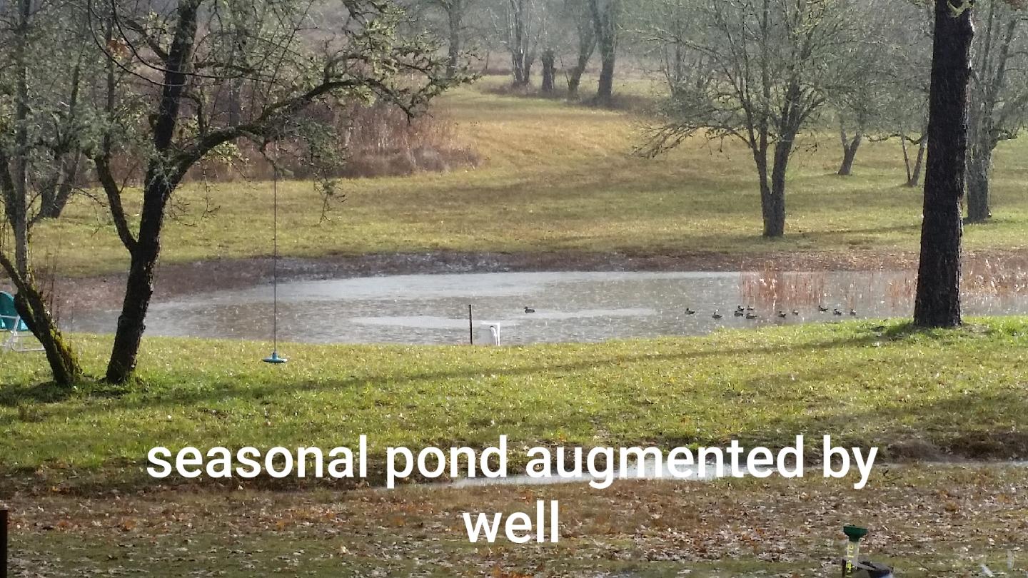 1275 Kubli Road Grants Pass, OR 97527 - Photo 5 of 21 SEASONAL POND