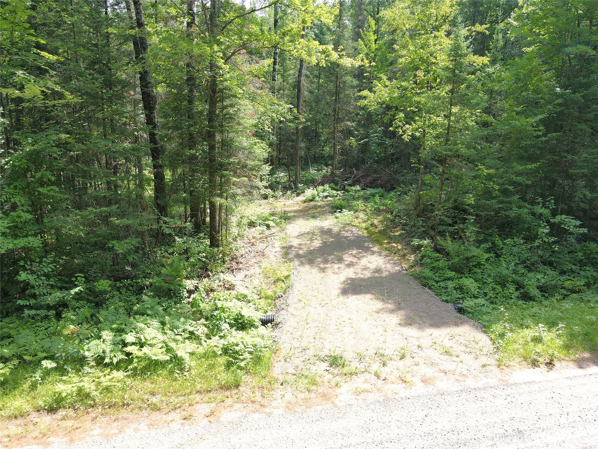 Lot 4 Smith Road Couderay, WI 54828 - Photo 12 of 27 Gallery Image 12