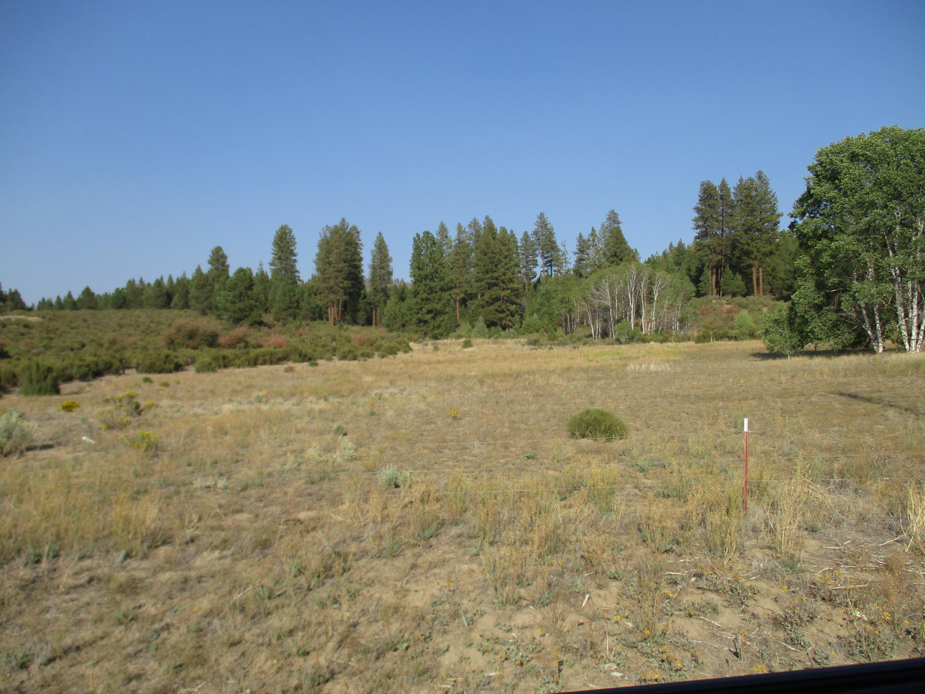 Pine Ridge Road Road, Unit 193686 Chiloquin, OR 97624 - Photo 3 of 7 IMG_0116