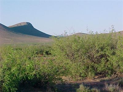 0 West Fawn Ranch Road Pearce, AZ 85625 - Photo 7 of 7