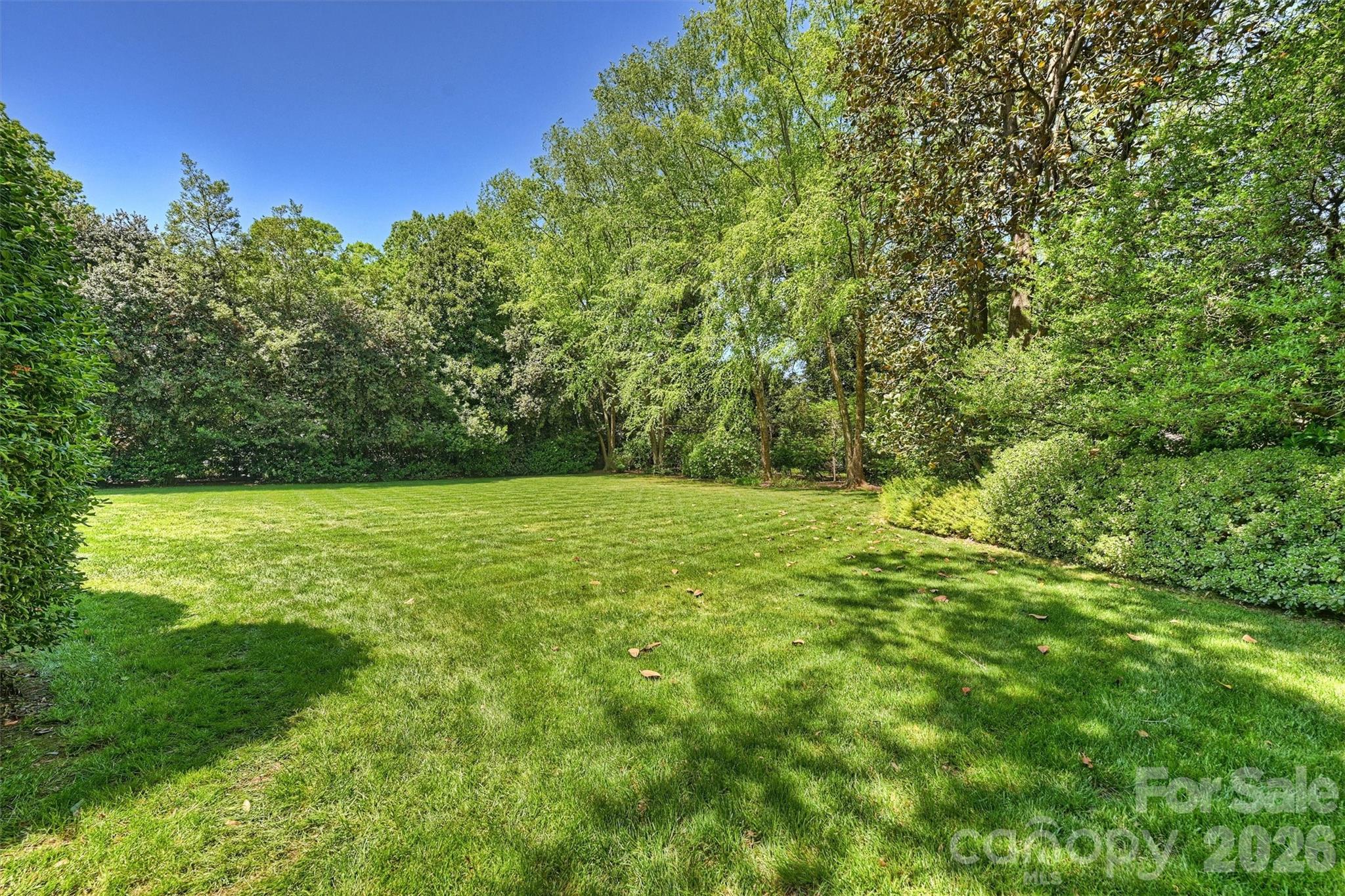 812 Ardsley Road Charlotte, NC 28207 - Photo 38 of 44 a view of outdoor space and yard