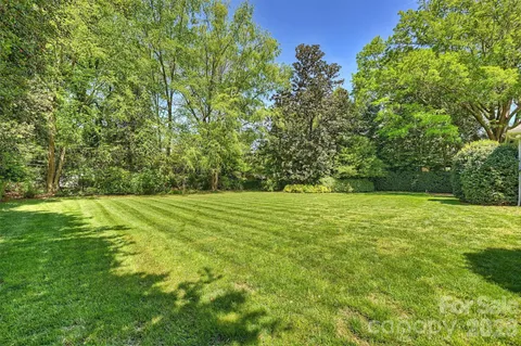 a view of yard with green space