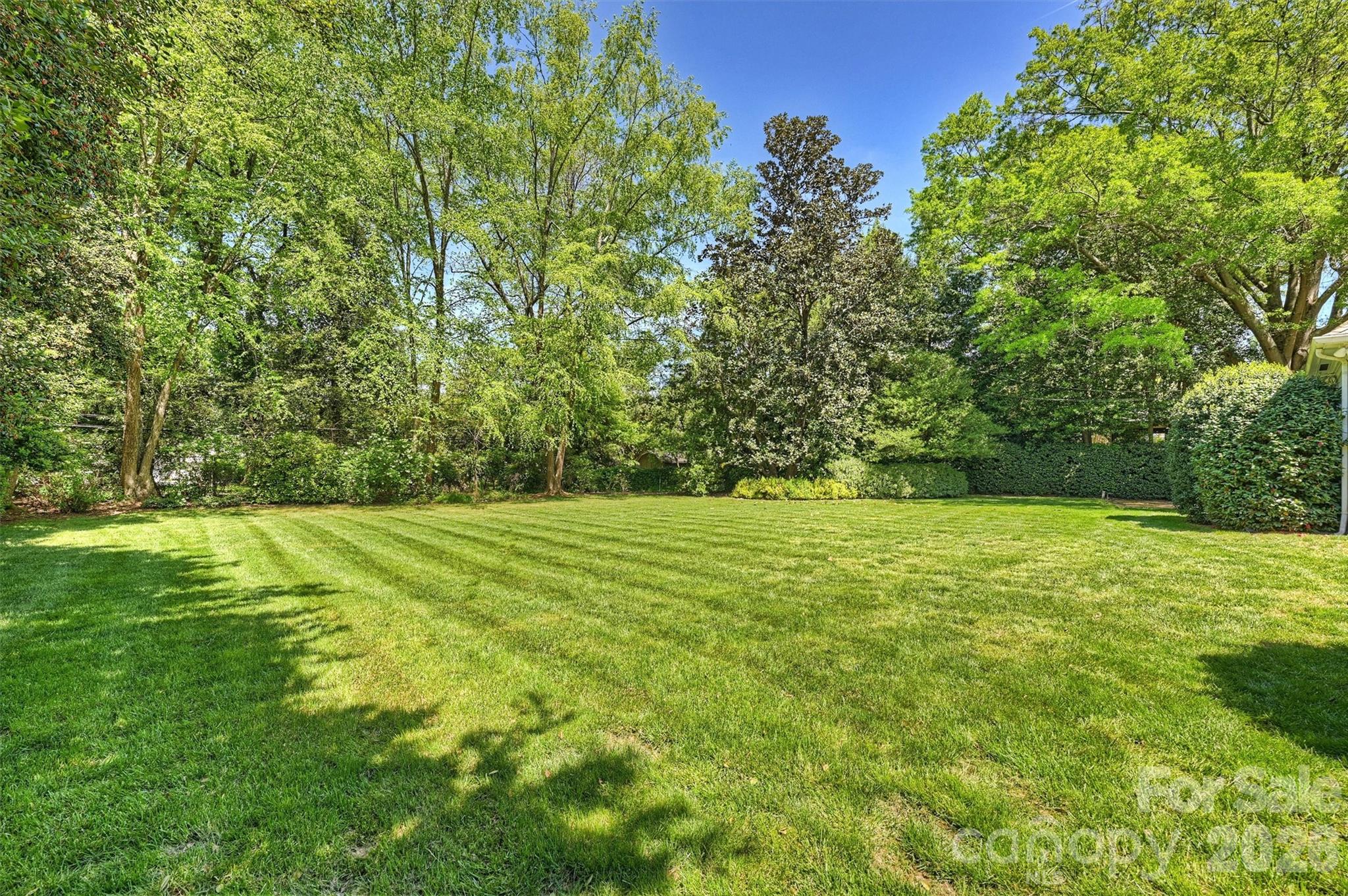 812 Ardsley Road Charlotte, NC 28207 - Photo 43 of 44 a view of yard with green space