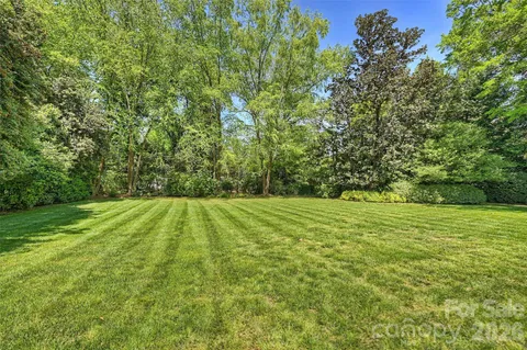 a view of a yard with a large trees