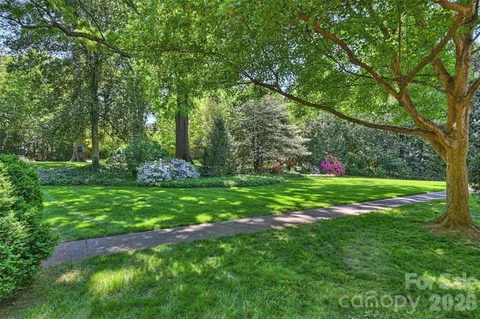 a view of green field with plants and trees