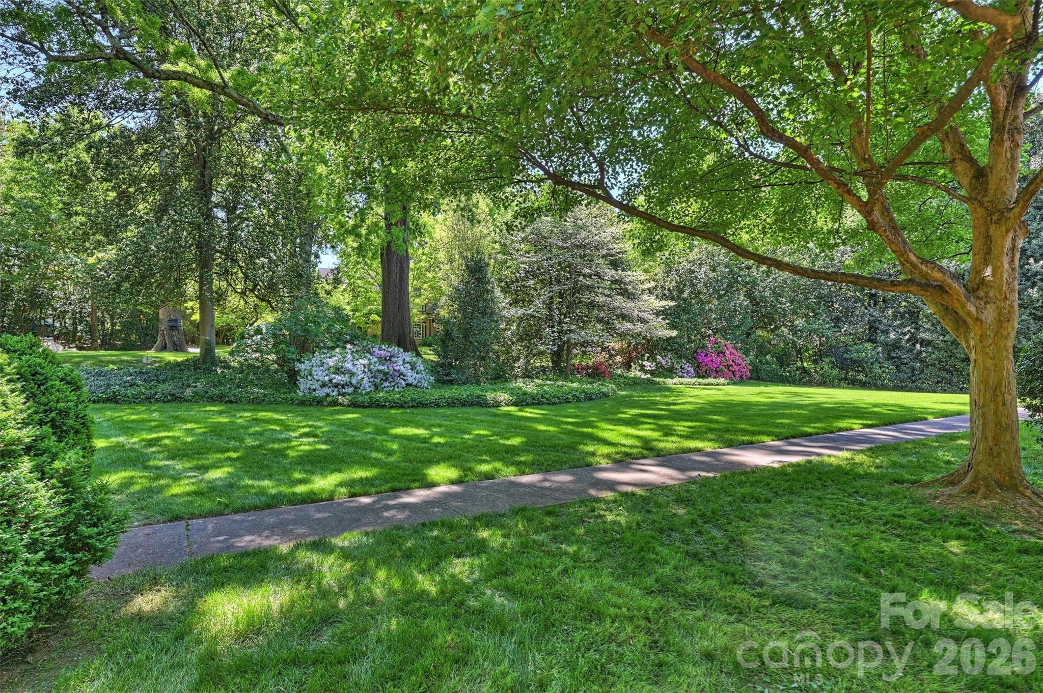 812 Ardsley Road Charlotte, NC 28207 - Photo 6 of 44 a view of green field with plants and trees