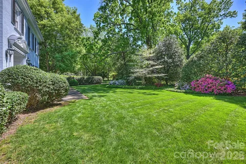 a view of a garden with plants and large trees