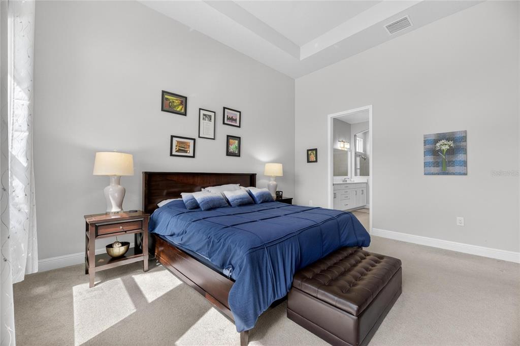 5515 Madrigal Way Apollo Beach, FL 33572 - Photo 36 of 92