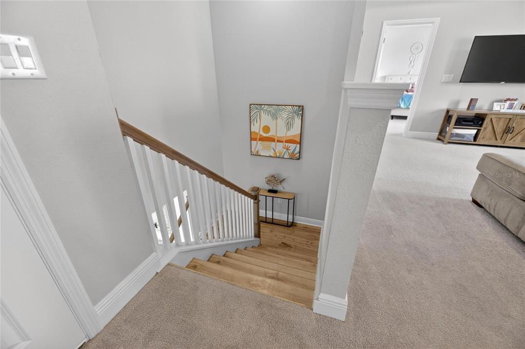 5515 Madrigal Way Apollo Beach, FL 33572 - Photo 42 of 92