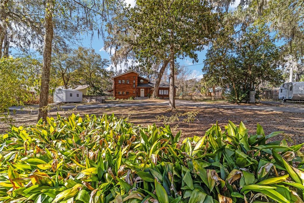 3510 Southwest 5th Court Ocala, FL 34471 - Photo 38 of 44 a view of a yard with plants and trees