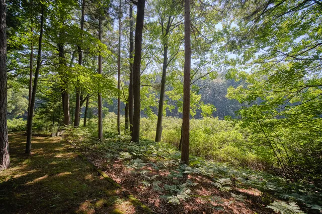 $266,900 | 368 Ecklund Road, Manistee, MI 49660