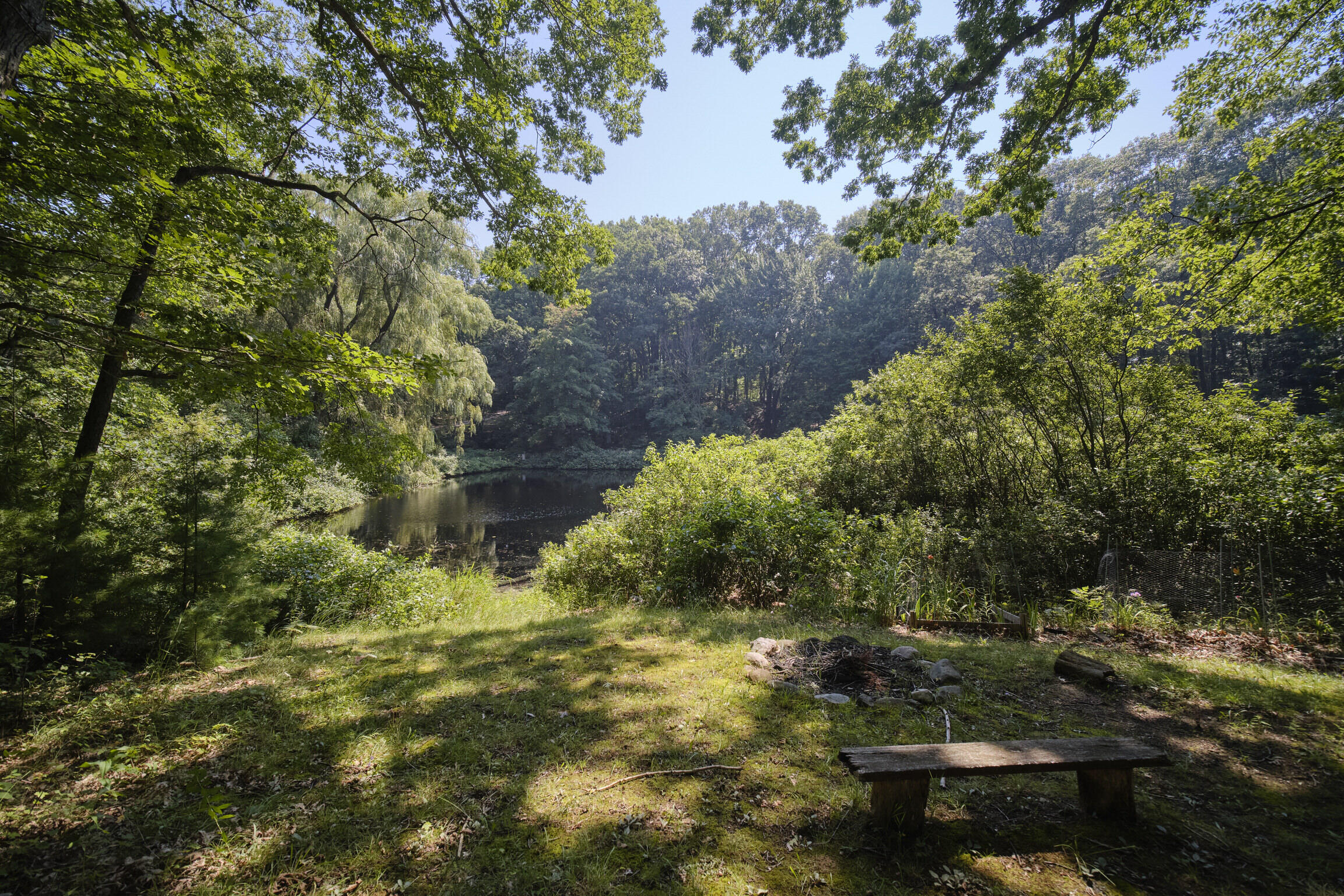 368 Ecklund Road Manistee, MI 49660 - Photo 36 of 43 Pond
