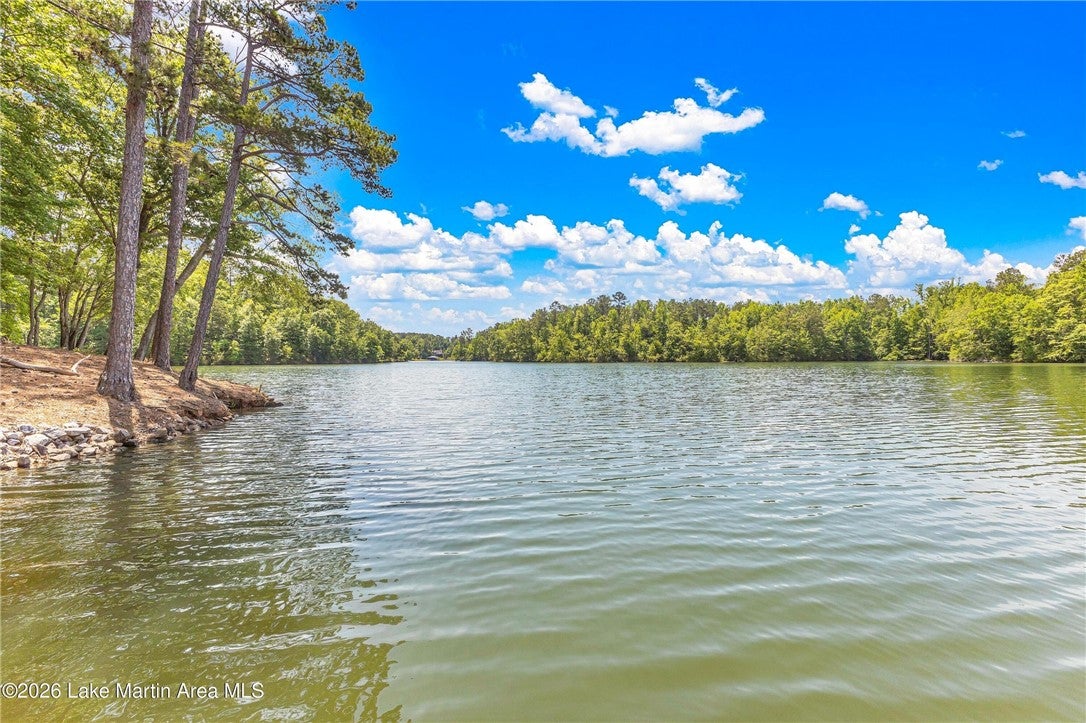 605 Lakeview Heights Road Jacksons Gap, AL 36861 - Photo 5 of 18 Gallery Image 5