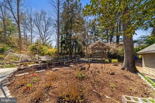 a view of a yard with trees